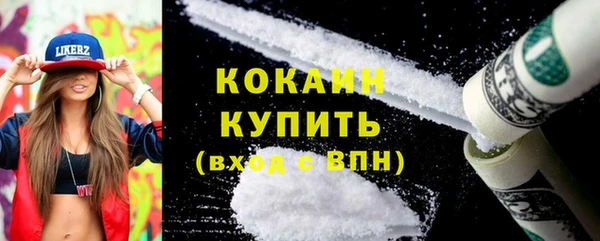 дживик Белокуриха